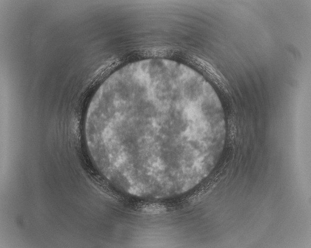 X0000115400258200912151526