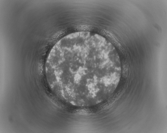 X0000115400259200912151526