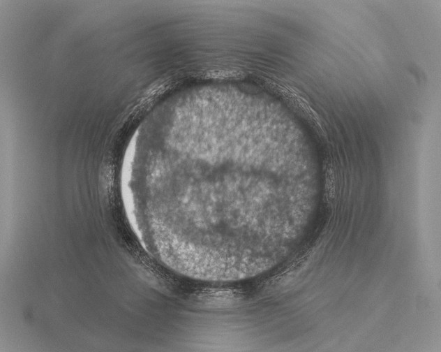 X0000115400260200912151526