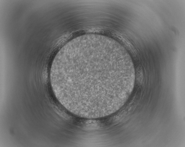 X0000115400261200912151526