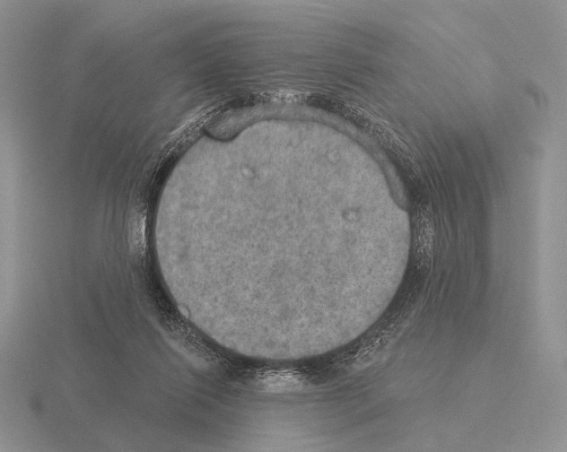 X0000115400262200912151526