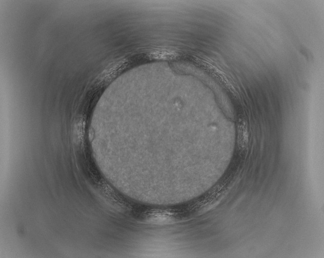 X0000115400263200912151526