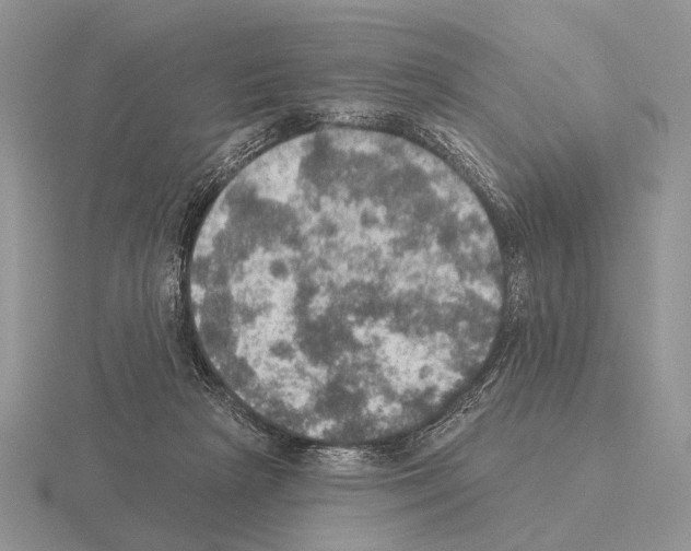 X0000115400265200912151526