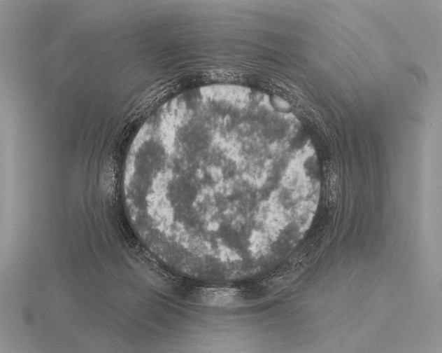 X0000115400266200912151526