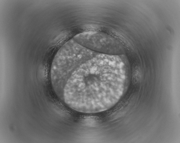 X0000115400268200912151526