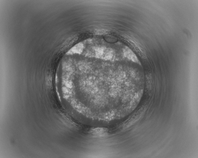 X0000115400269200912151526