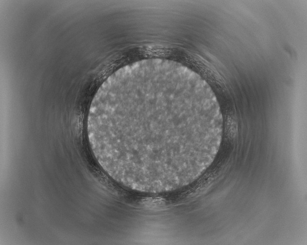 X0000115400271200912151526