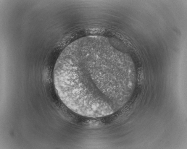 X0000115400272200912151526