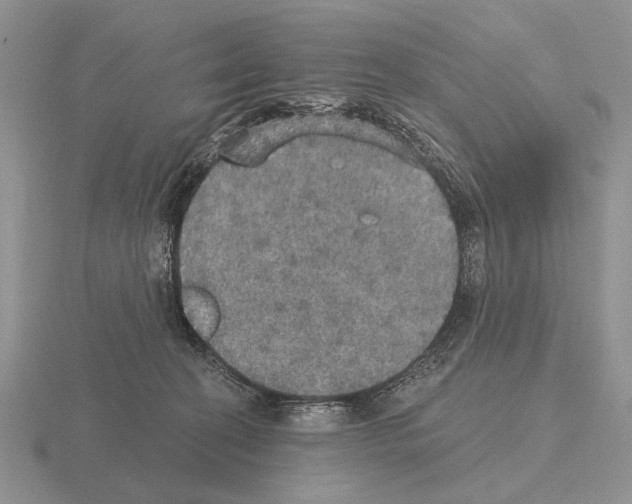 X0000115400274200912151526