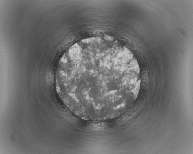 X0000115400278200912151526