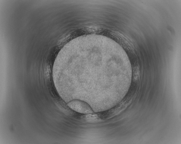 X0000115400279200912151526