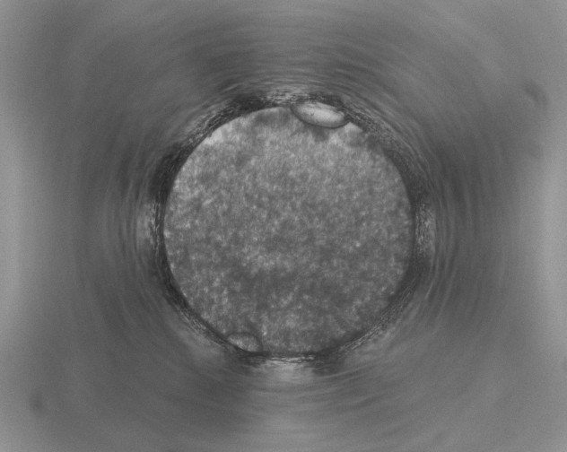 X0000115400280200912151526