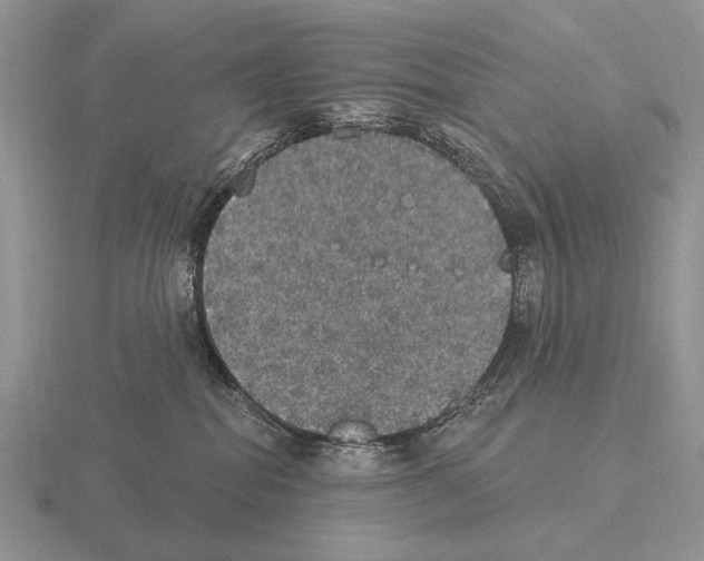 X0000115400282200912151526