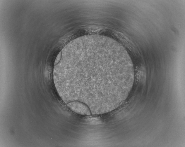 X0000115400283200912151526