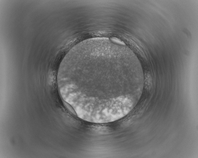 X0000115400284200912151526