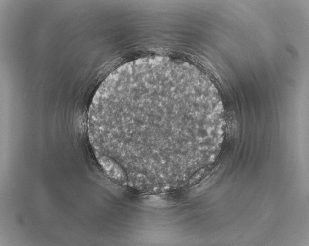 X0000115400285200912151526