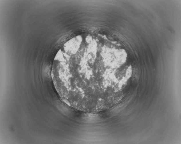 X0000115400286200912151527