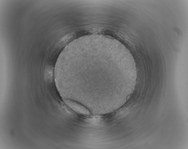 X0000115400288200912151527