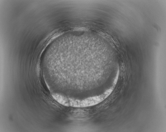 X0000115400290200912151526