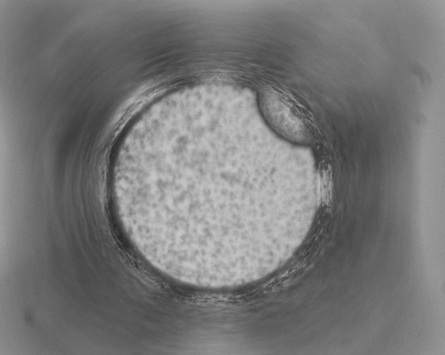 X0000115400291200912151526