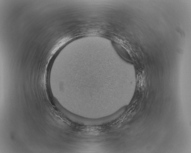 X0000115400292200912151526