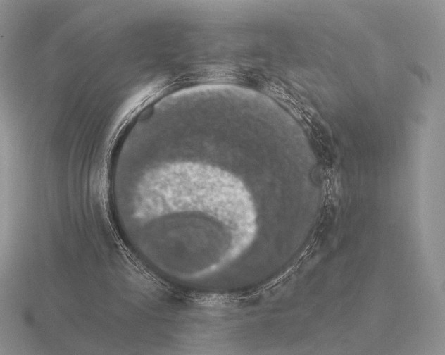 X0000115400293200912151526