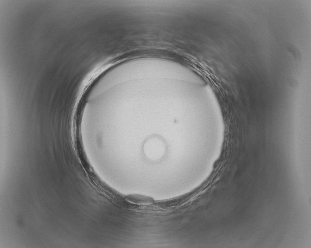 X0000115400294200912151526