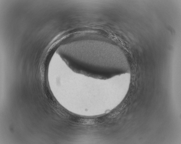 X0000115400295200912151526