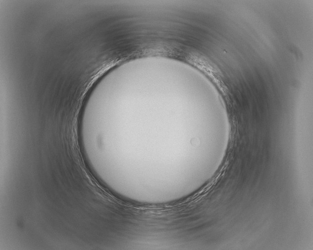 X0000115400297200912151526