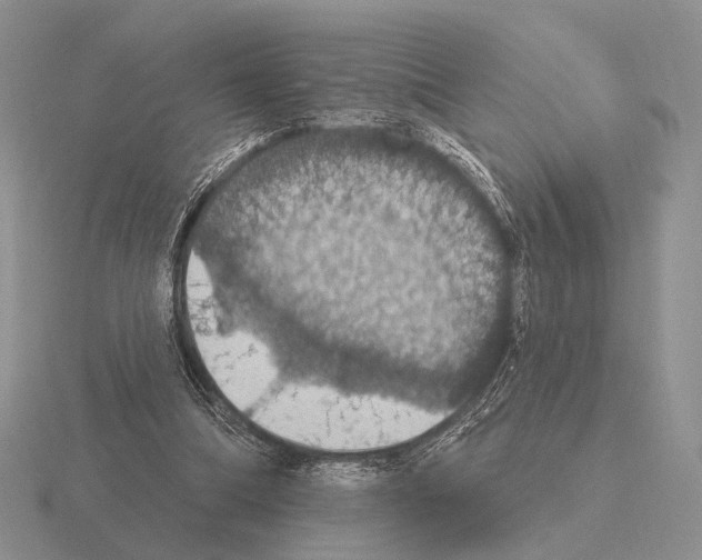 X0000115400298200912151526