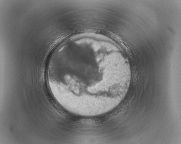 X0000115400299200912151526