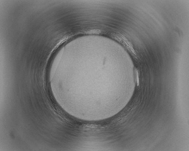 X0000115400300200912151526