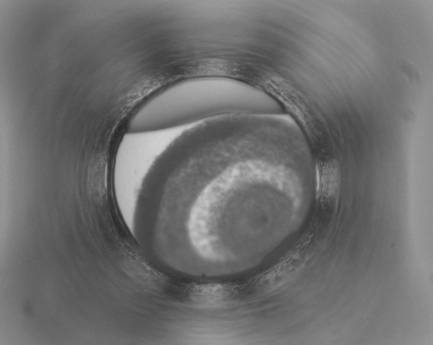 X0000115400301200912151526