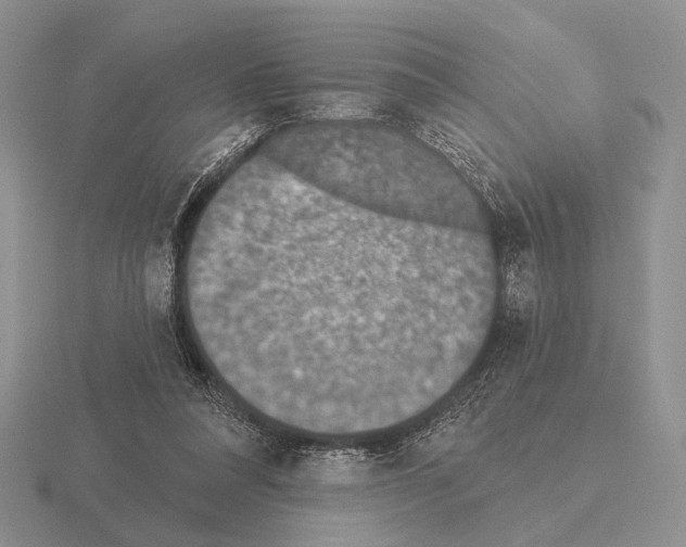 X0000115400304200912151526