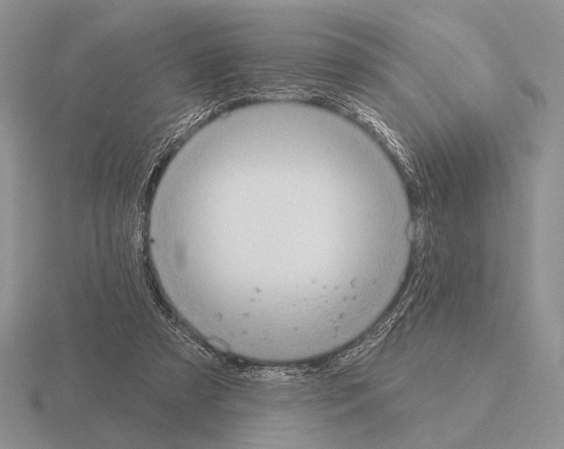 X0000115400305200912151526