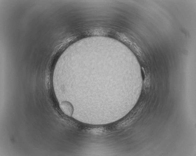 X0000115400306200912151526