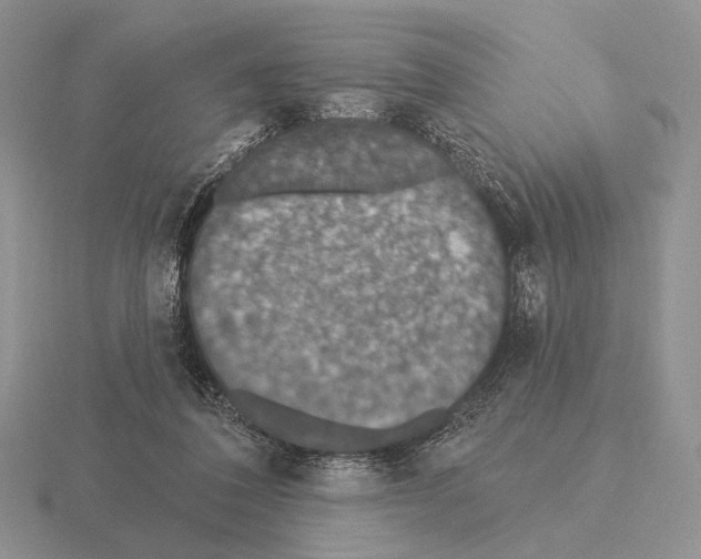 X0000115400308200912151526