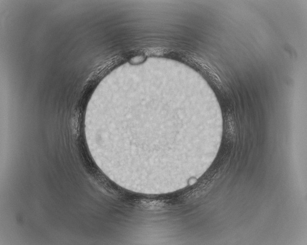 X0000115400311200912151525