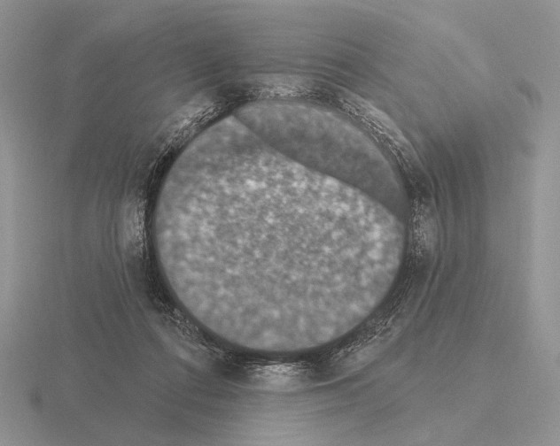 X0000115400312200912151525