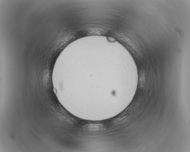 X0000115400314200912151525