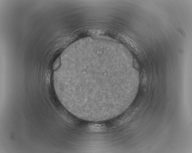 X0000115400315200912151525