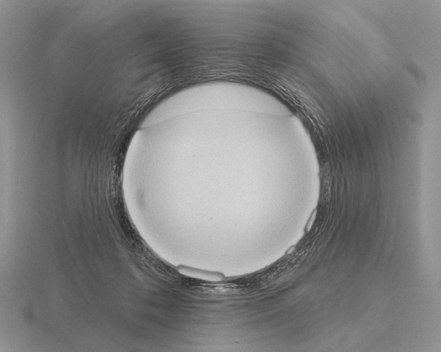 X0000115400316200912151525