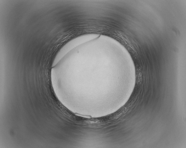 X0000115400317200912151525