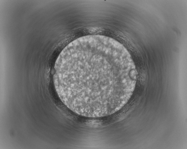 X0000115400319200912151525