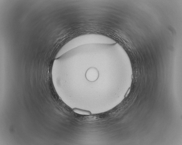 X0000115400320200912151525