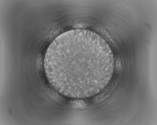 X0000115400322200912151525