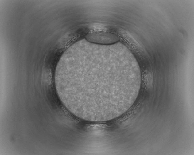 X0000115400323200912151525