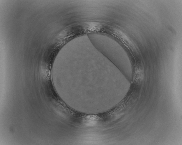 X0000115400324200912151525