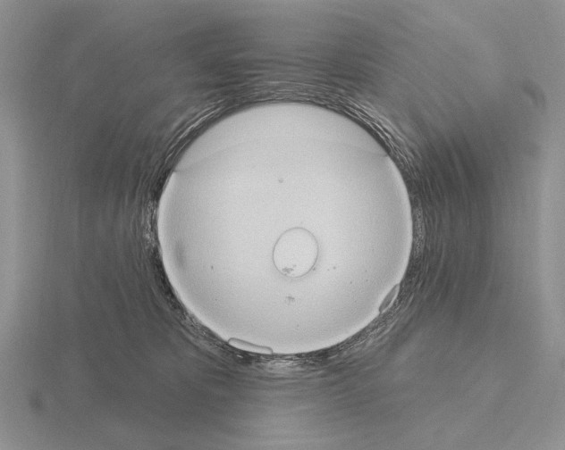 X0000115400325200912151525