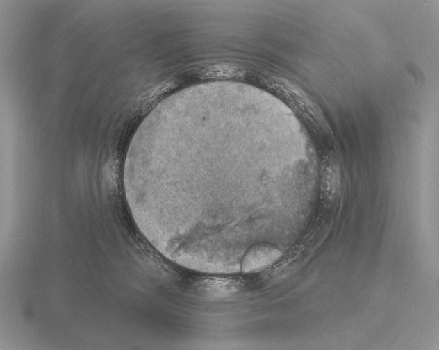 X0000115400326200912151525